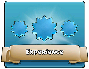 Experience Experience
