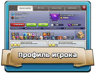 Профиль игрока Профиль игрока